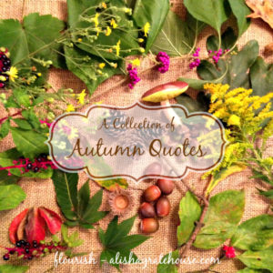 collection of autumn quotes