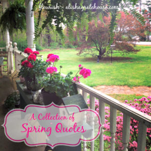 spring quotes