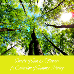 collection of summer poetry