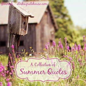 Collection of Summer Quotes
